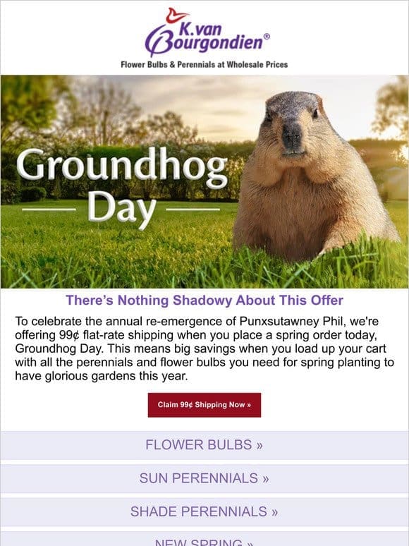 BREAKING: Groundhog predicts great delivery deal!