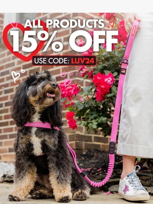 Big Weekend Savings On Gear Your Dog Will LOVE!