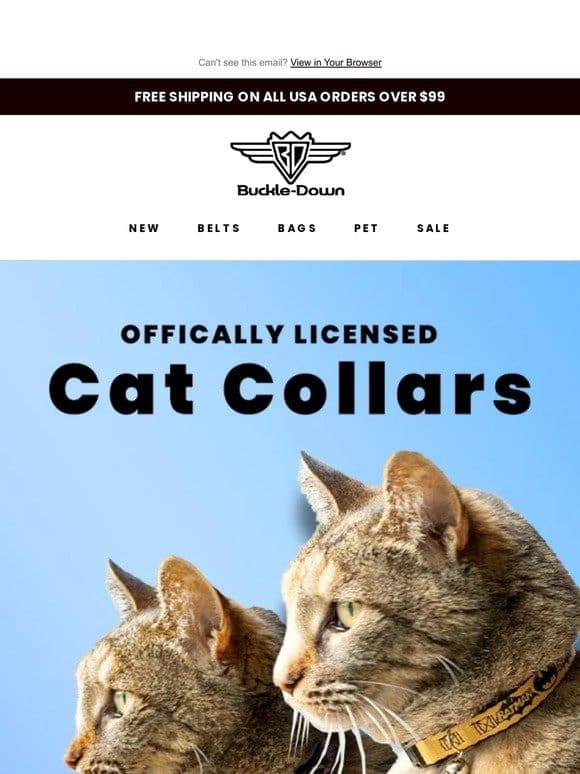 Buckle Down Cat Collars