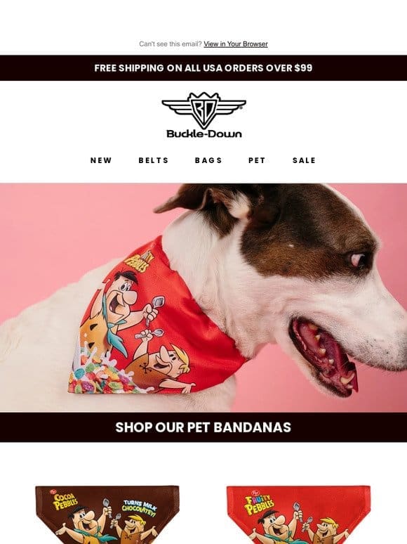 Buckle Down Pet Bandanas