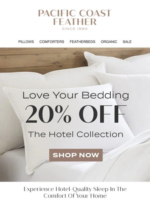 Check-in to 20% OFF The Hotel Collection!