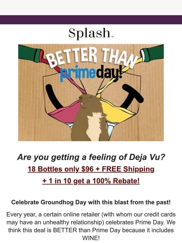 DEJA VU: 18 Bottles， Just $96 + 100% Cash Back Rebate!?