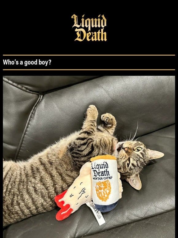 Death Grip Pet Toys