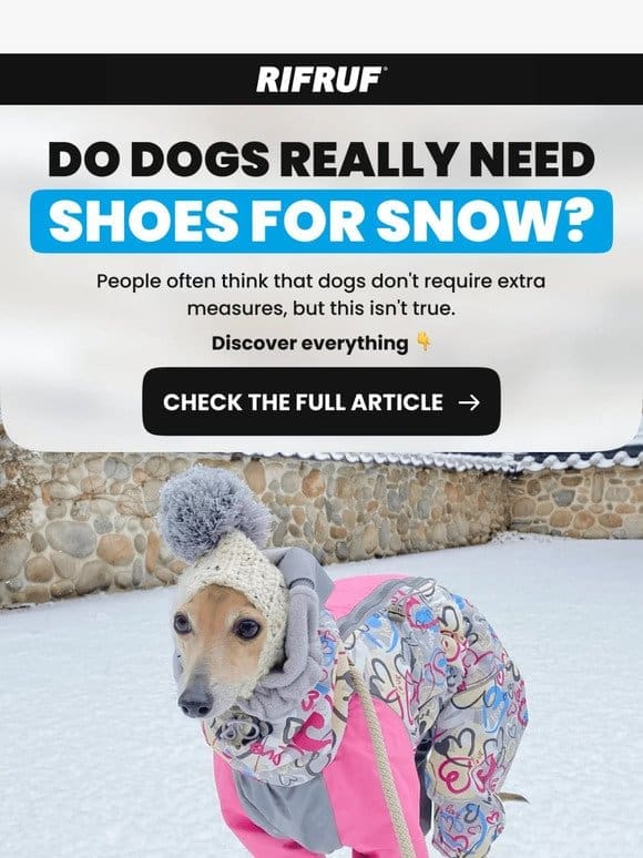 Do Dogs Really Need Shoes for Snow? ☃️