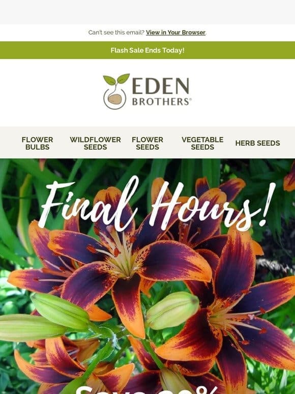 [ENDS TODAY] 20% off Spring Bulbs!