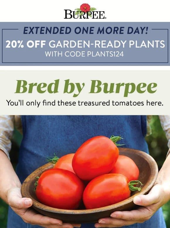 Extended! Plants are on sale today