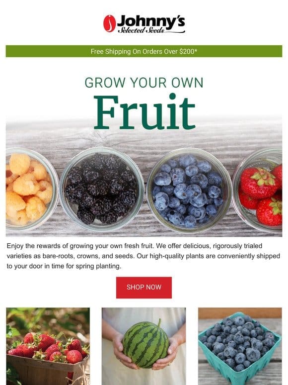 Fruit & Berry Plants， Seeds， & Crowns