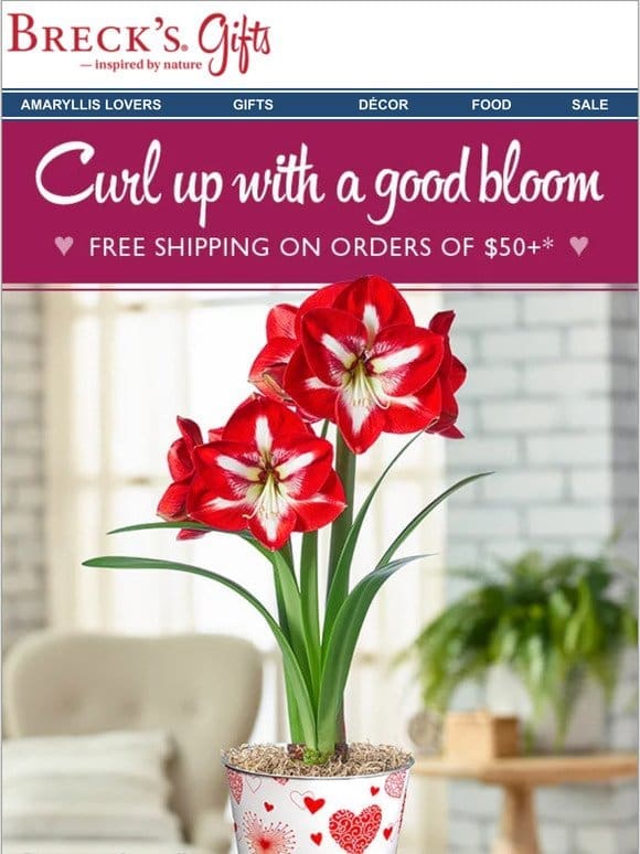 Get Valentine gifts shipped FREE