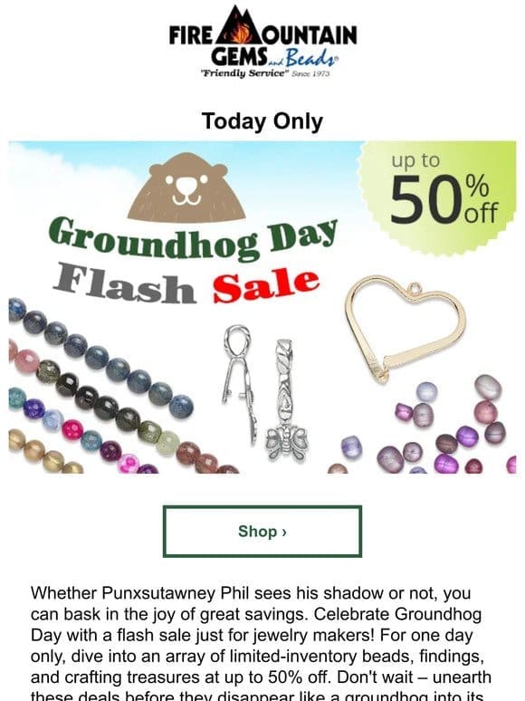 Groundhog Day Flash SALE