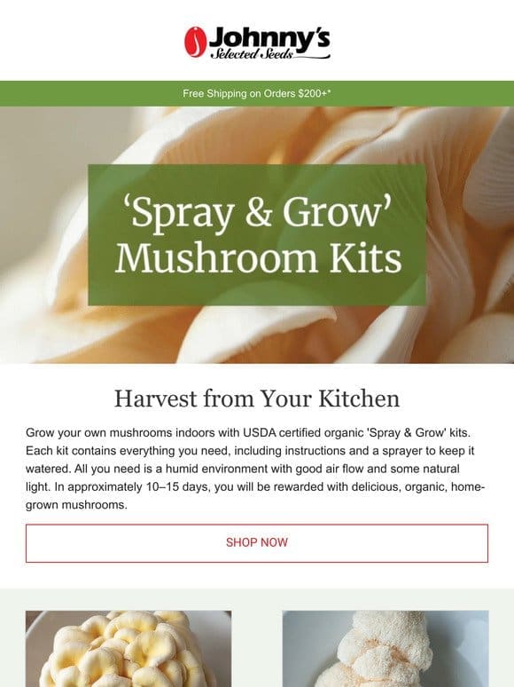 Grow Your Own Mushrooms