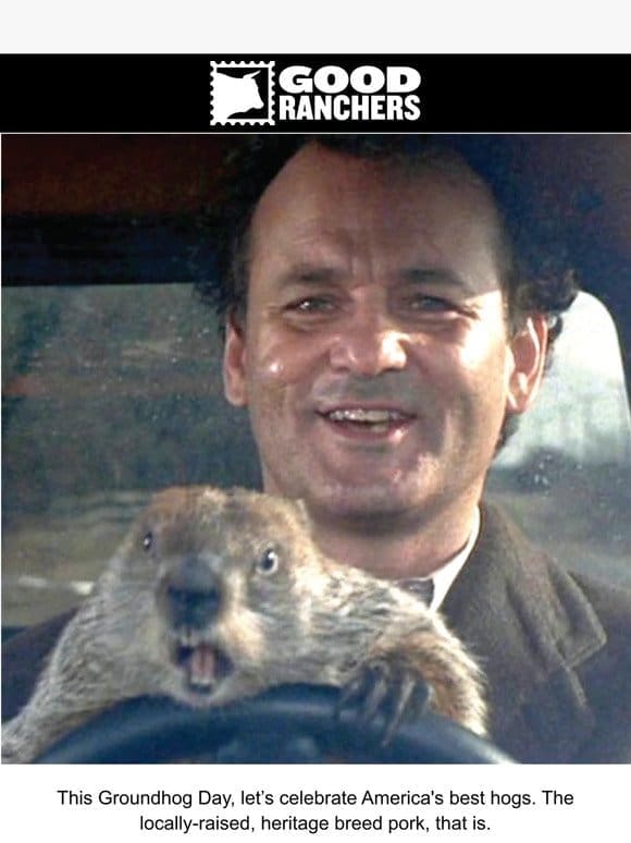 Happy Ground-HOG Day