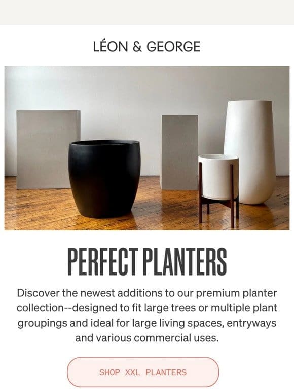 Have you met our XXL planters?