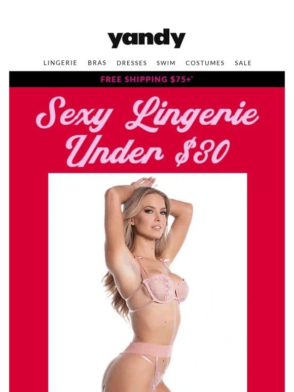 Hot Lingerie for Less than $30