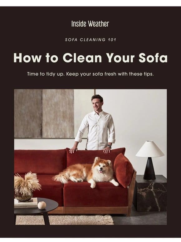 How to clean your sofa