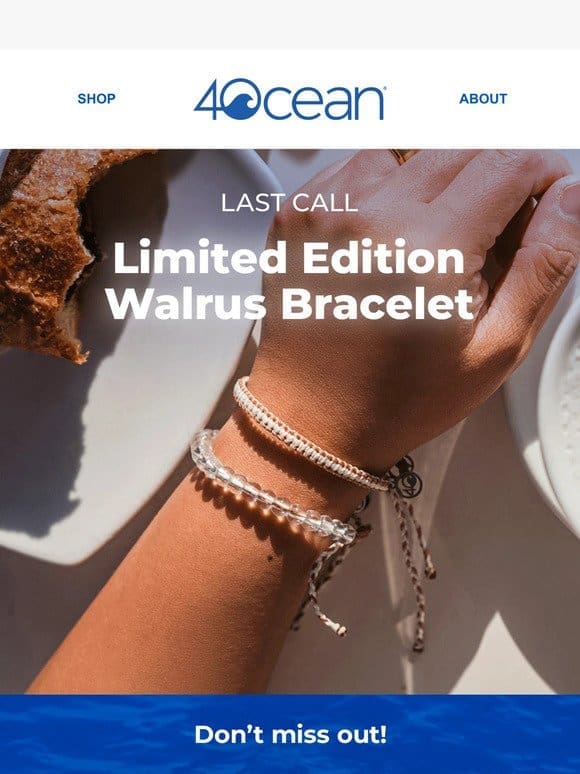 LAST CALL   Walrus Bracelet