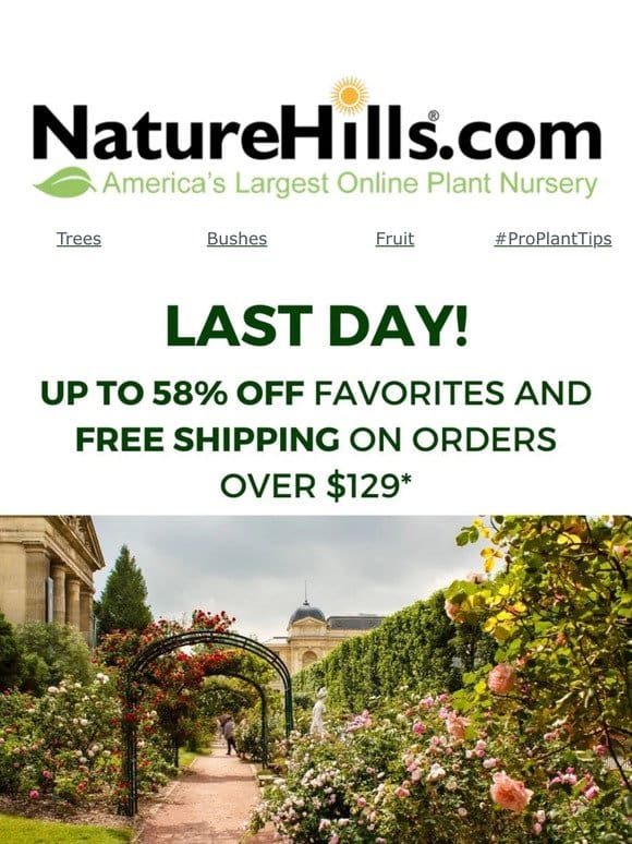 LAST DAY   Up to 58% Off Plants!