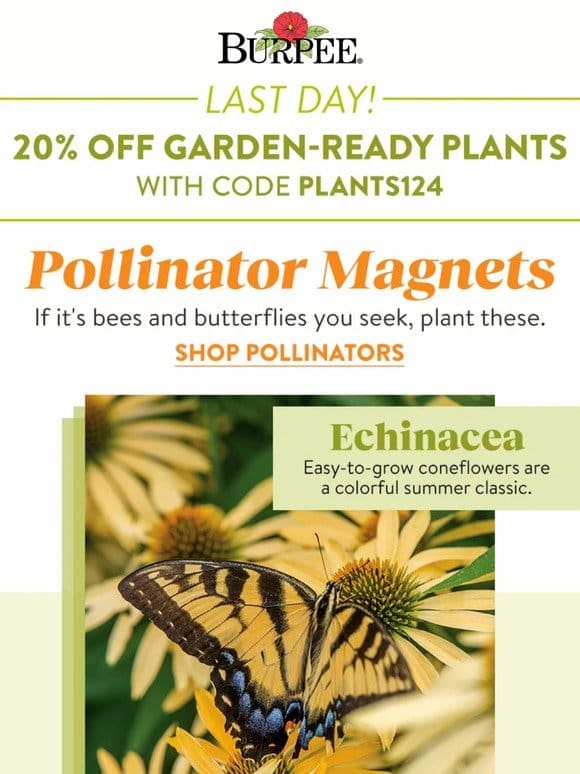 Last day for 20% off all plants!