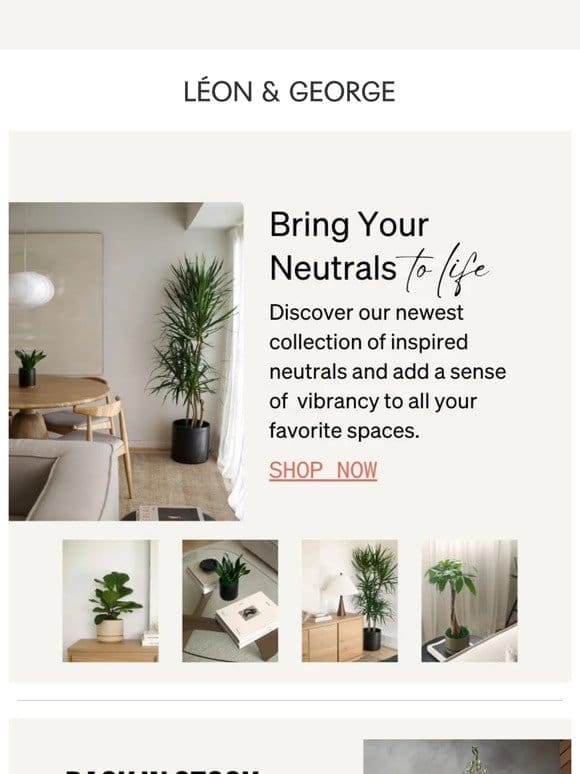 Plants for neutral spaces