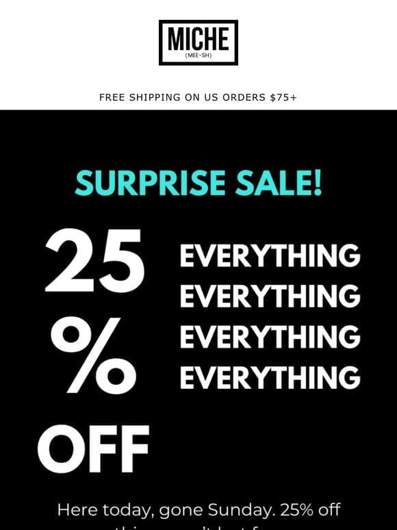 ! ! SURPRISE SALE ! !