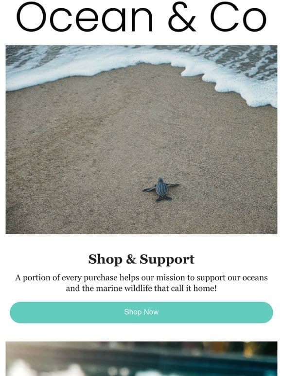 Shop Ocean & Co， Support our Oceans!
