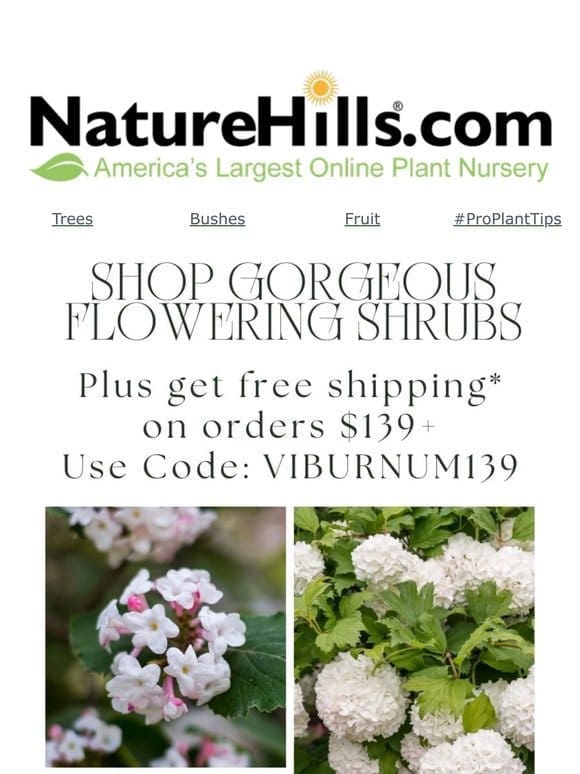 Shop gorgeous flowering shrubs and get free shipping on orders $139+