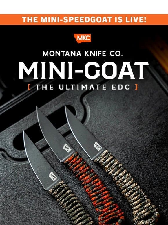 THE MINI-SPEEDGOAT IS LIVE!!