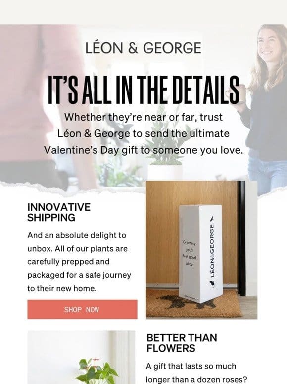 The Valentine’s Day 411