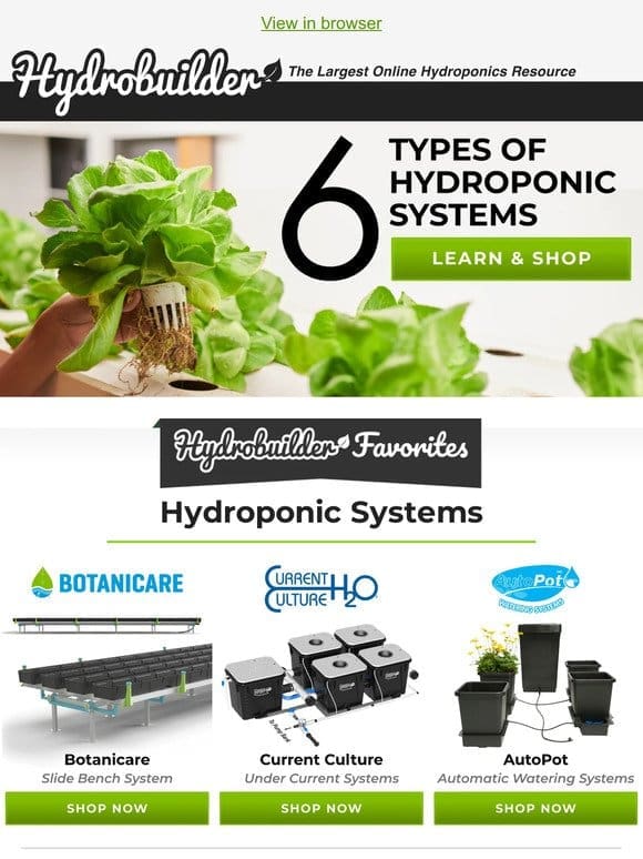 The Wonderful World of Hydroponics