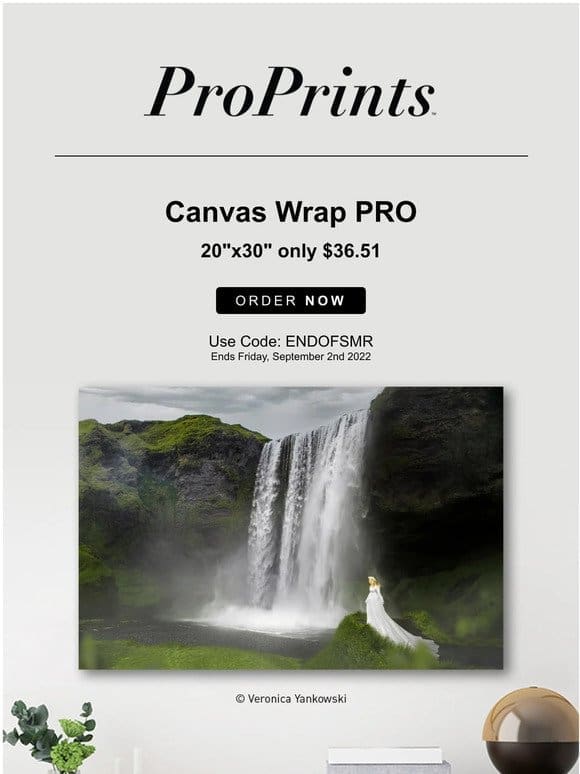 This week: Save on 20×30″ Canvas Wrap PRO