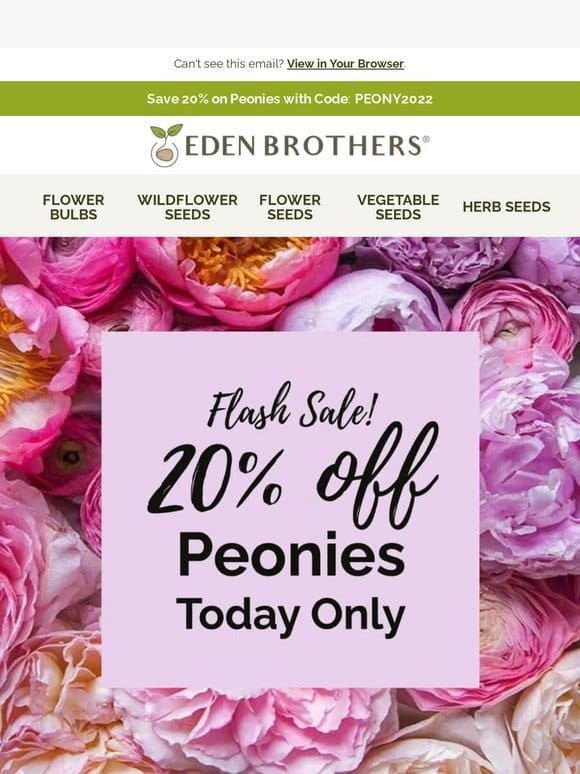 Today Only: 20% Off Peonies!