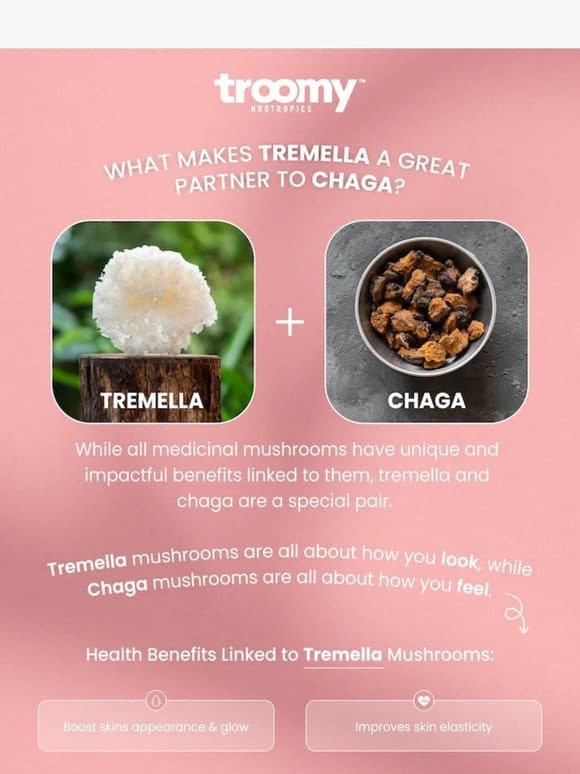 Tremella X Chaga: Your New Fav Superfoods