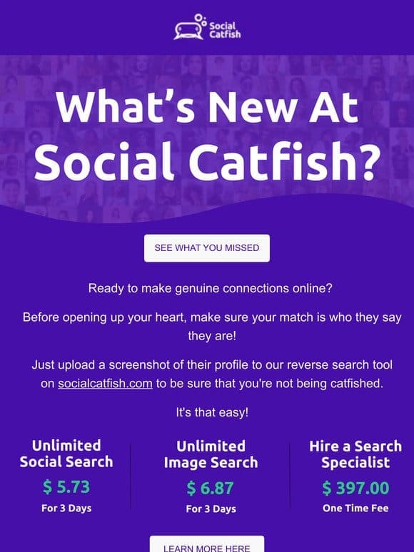 Types of Catfishers