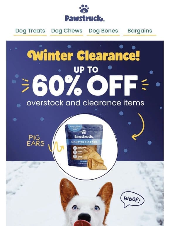 Winter Clearance Sale!