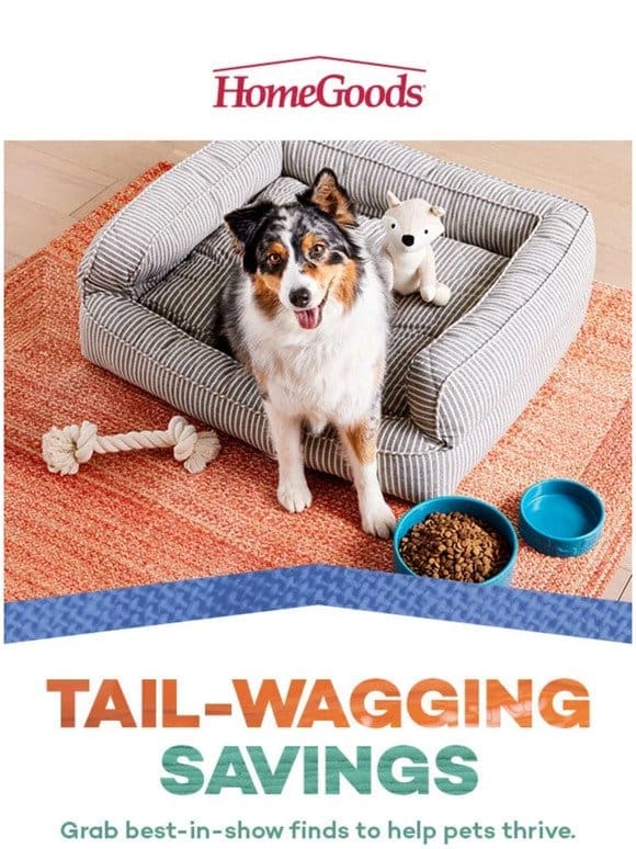 Your pet’s fave new find is inside. >>​