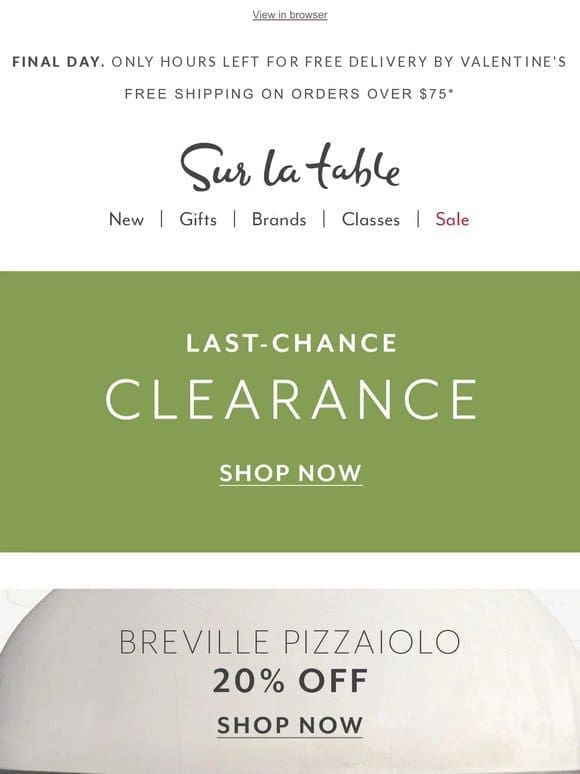 party! Breville Pizzaiolo 20% off for a limited time.