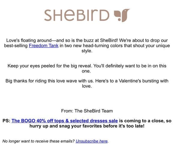 ✨SheBird’s Dropping Something NEW✨