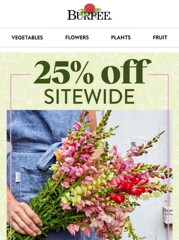 25% off sitewide this weekend