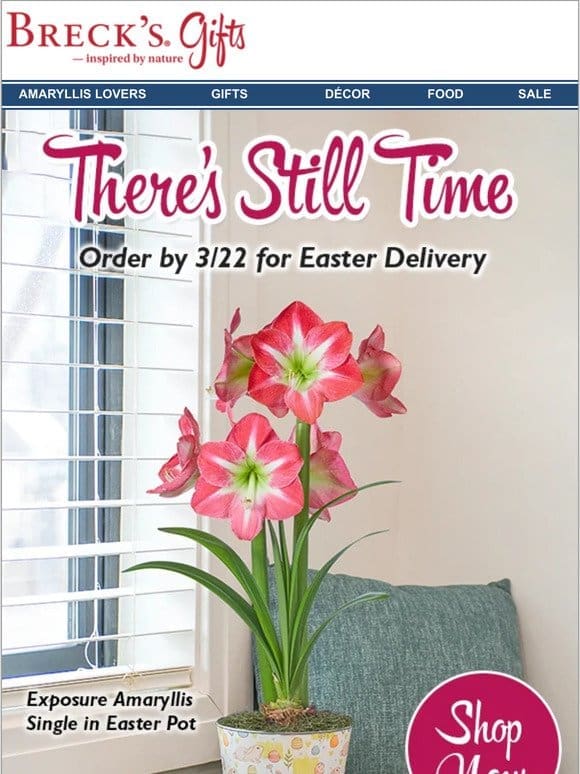 Are your Easter gifts on their way?