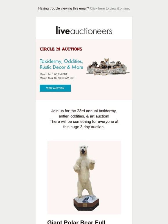 Circle M Auctions | Taxidermy， Oddities， Rustic Decor & More