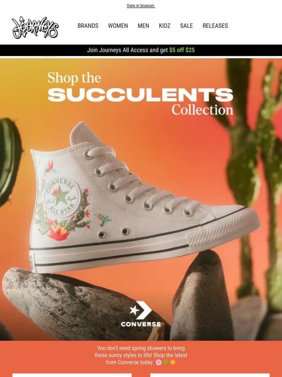 Converse Succulents Collection