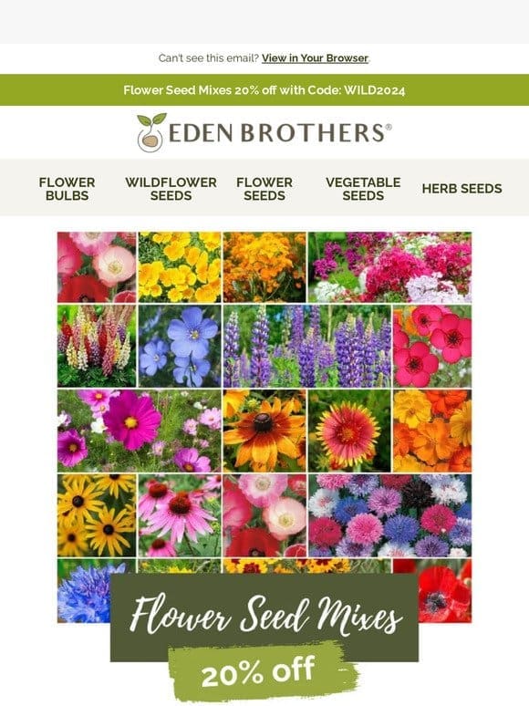 Exclusive Seed Mixes: 20% Off!