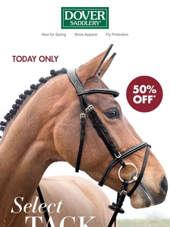 Flash Sale! 50% Off Select Tack