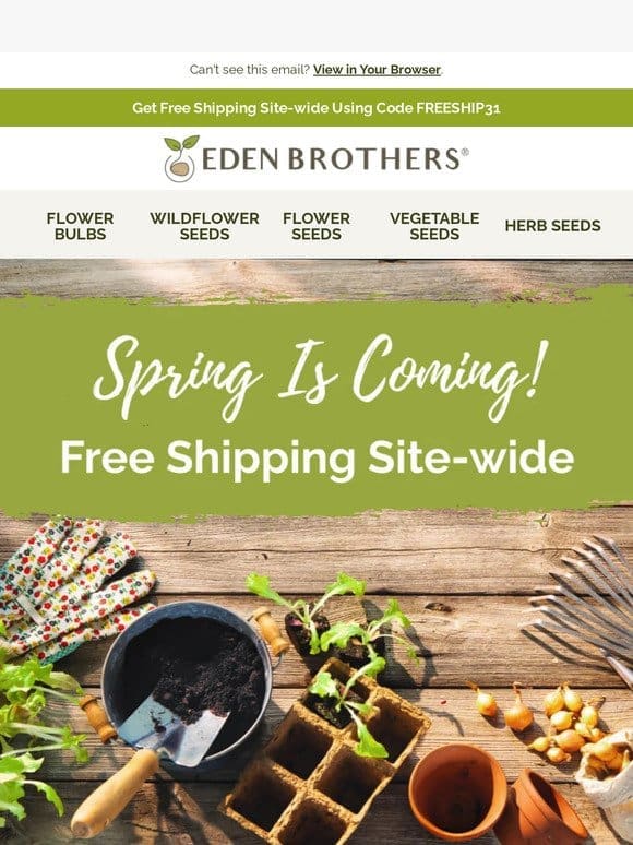 Free Shipping Today!