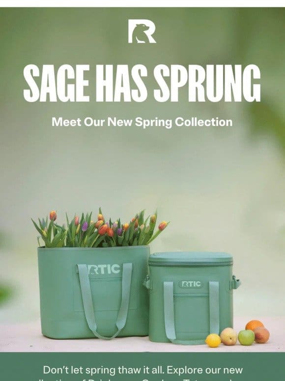 Fresh Spring Collection