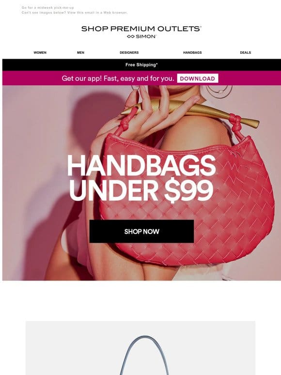 Handbags Under $100