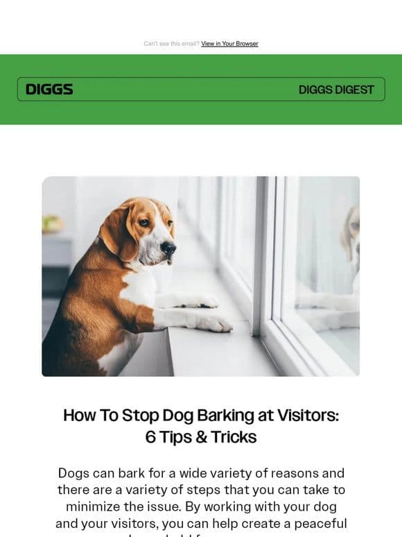 How To Stop Dog Barking at Visitors: 6 Tips & Tricks