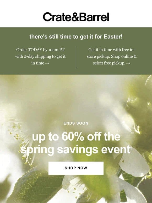 LAST CHANCE! Up to 60% off Spring Savings