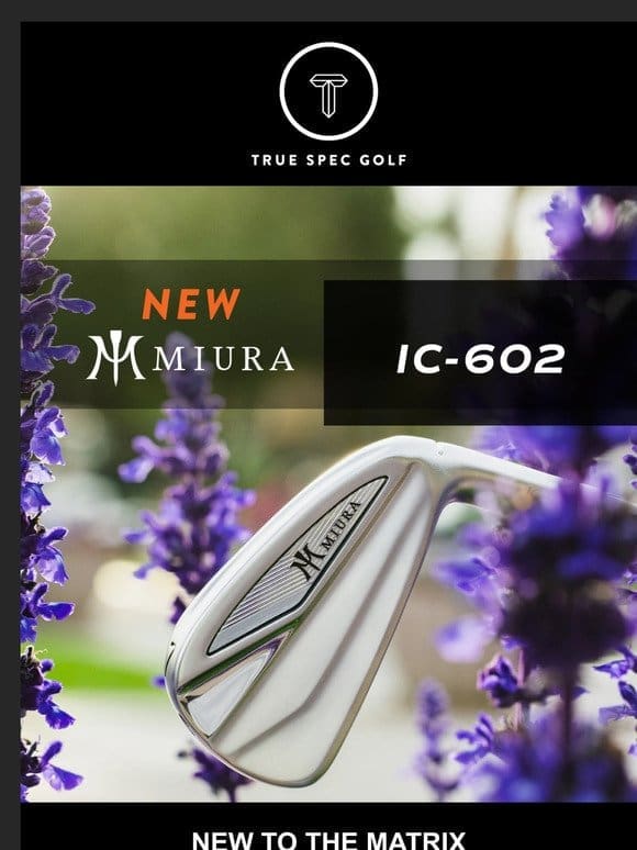 Miura IC-602 Iron Testing Inside