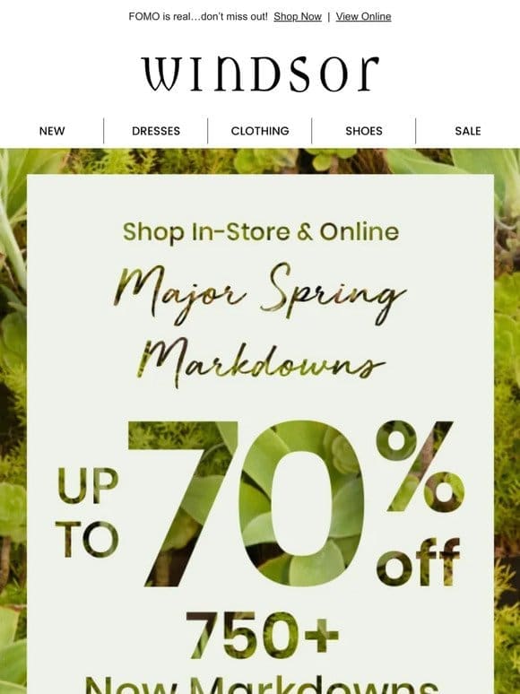 New Markdowns Alert