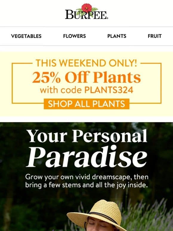 Order your plants – 25% off now